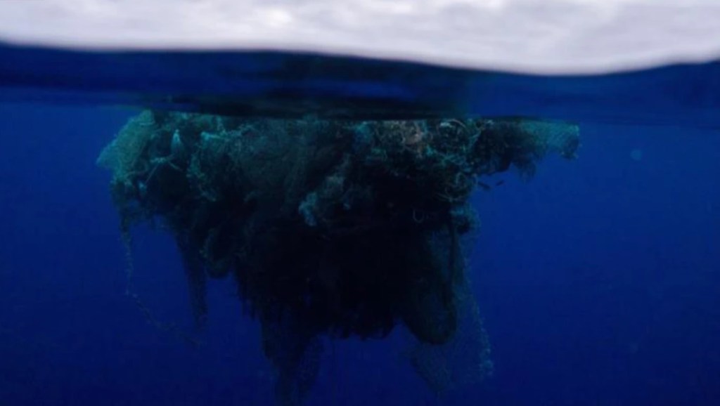 What Lives in the Great Pacific Garbage Patch? – Novel Ecology